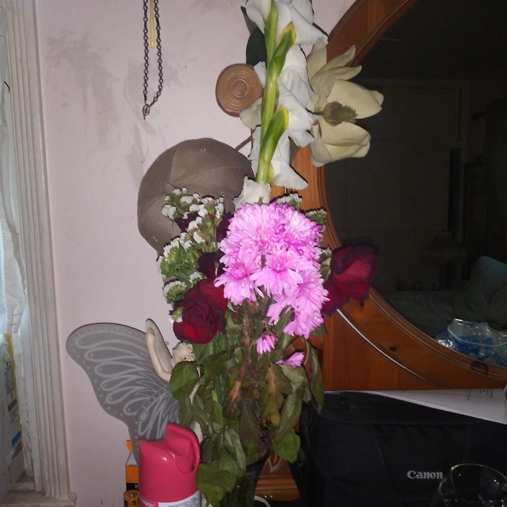 Meet your Posher, Tanaya